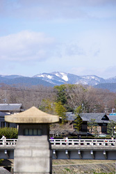 賀茂川の柳(2011年2月26日撮影)